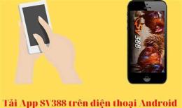 giao diện app ca nhạc đá gà