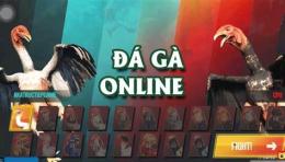 giao diện app các trang web đá gà trực tuyến