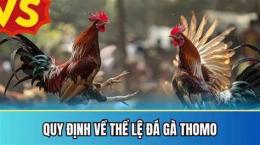 giao diện app cách chơi đá gà thomo