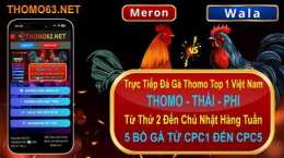 giao diện app cách đăng ký trang đá gà thomo