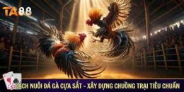 giao diện app cách nuôi gà mỹ đá cựa sắt