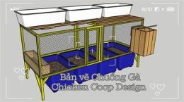 giao diện app cách nuôi gà tre chuẩn bị đá
