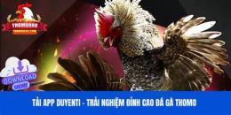 giao diện app cách tải trang đá gà thomo