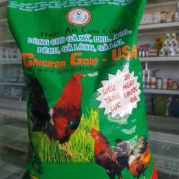 giao diện app cám gà đá chicken gold