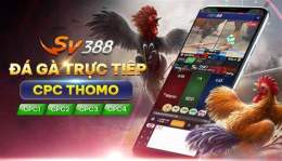 giao diện app casino đá gà 999