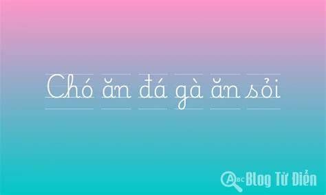 giao diện app chó ăn đá gà ăn sỏi là thành ngữ