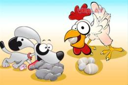 giao diện app chó ăn sỏi gà ăn đá