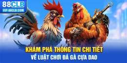 giao diện app chơi đá gà cựa dao 789bet