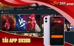giao diện app chơi đá gà trực tiếp