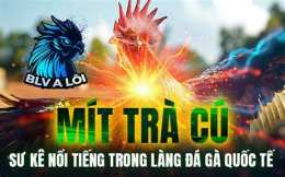 giao diện app clip đá gà của mít trà cú