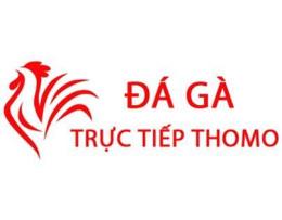 giao diện app clip da ga thomo hom nay
