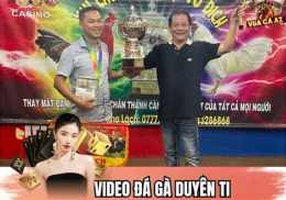 giao diện app clip gà duyên ti đá thomo