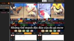 giao diện app cpc 4 đá gà