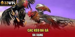giao diện app đá gà 33win