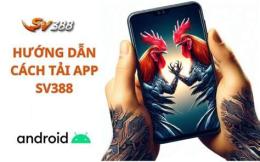 giao diện app đá gà 39 net