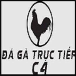 giao diện app đá gà 67 trực tiếp c4