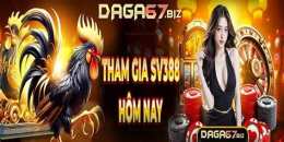 giao diện app đá gà 67 trực tuyến