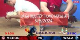 giao diện app đá gà 8/12/2024