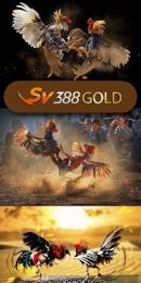 giao diện app đá gà 88c vip