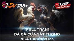 giao diện app đá gà 8/9 trận 36