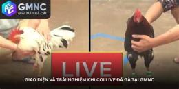 giao diện app đá gà 999 live