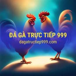 giao diện app đá gà 999 trực tiếp