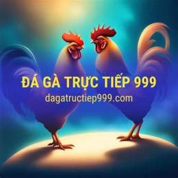 giao diện app đá gà 999 tv