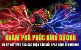 giao diện app đá gà bảo sting và hoàng phi hải