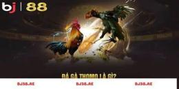 giao diện app đá gà bj27
