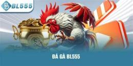 giao diện app đá gà bl555