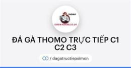 giao diện app đá gà c1 c2 c3 c4 trực tiếp