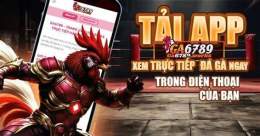 giao diện app đá gà c2 ga6789
