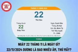 giao diện app đá gà c2 ngày 22 tháng 11