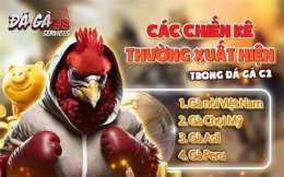 giao diện app đá gà c2 phu phu
