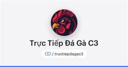 giao diện app đá gà c3 10 3