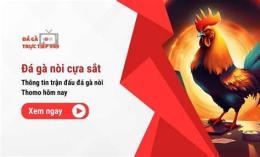 giao diện app đá gà c3 14/1 trận 21
