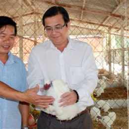 giống gà mã đà