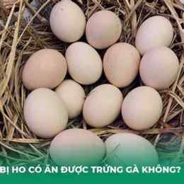 ho có được ăn da gà