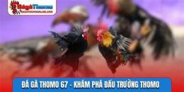 hướng dẫn sử dụng 67 đá gà 67