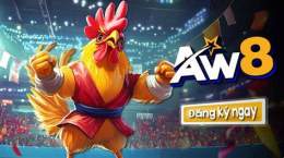 hướng dẫn sử dụng app đá gà thomo uy tín