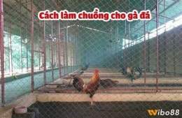 hướng dẫn sử dụng bạn chuồng chạy cho gà đá