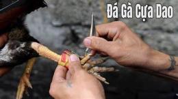 hướng dẫn sử dụng ban cua ga da thep my