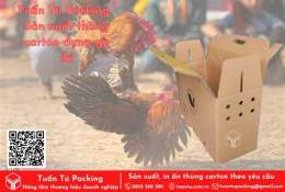 hướng dẫn sử dụng bán gà đá giá rẻ