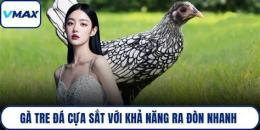 hướng dẫn sử dụng ban ga tre da cua sat
