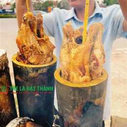 hướng dẫn sử dụng ban ga tre da