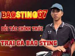 hướng dẫn sử dụng bao sting đá gà
