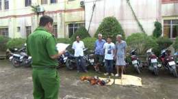 hướng dẫn sử dụng bắt đá gà bạc liêu