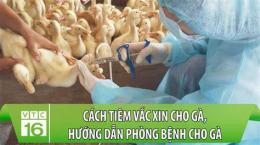hướng dẫn sử dụng bệnh da gà ở tay