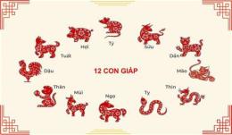 hướng dẫn sử dụng bí kíp đá gà 12 con giáp