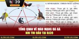 hướng dẫn sử dụng bj39 đá gà thomo